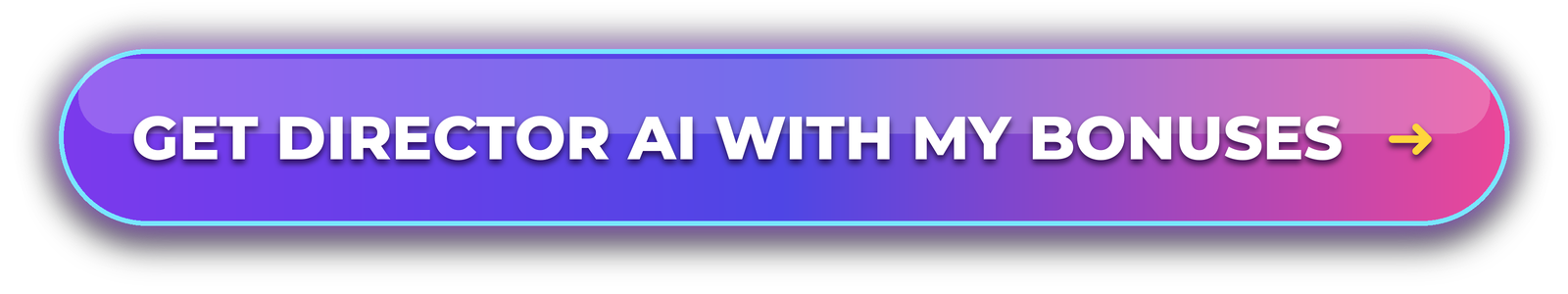 get Director AI